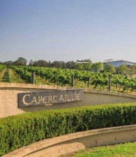 Capercaillie Wines